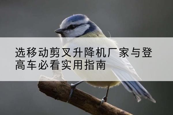 中沙群岛电动升降机厂家-选移动剪叉升降机厂家与登高车必看实用指南