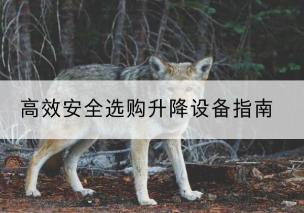 中沙群岛升降货梯厂家推荐-*安全选购升降设备指南