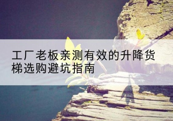 中沙群岛升降货梯怎么选-工厂老板亲测有效的升降货梯选购避坑指南